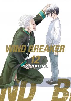 Wind Breaker - Volume 12