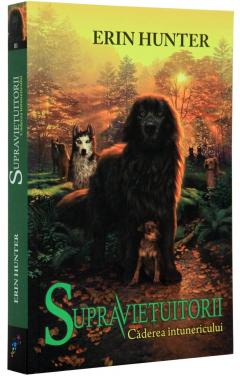 Caderea intunericului