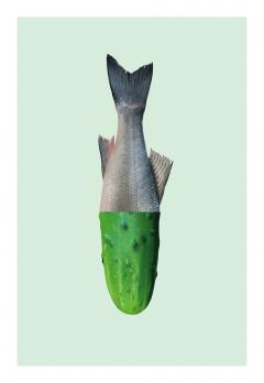 Carti postale - Curious Feast - Mai multe modele