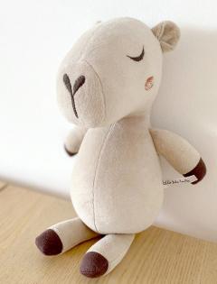 Jucarie de plus - Capibara Carturesti x Little Dots Family