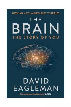 The Brain - The Story of You