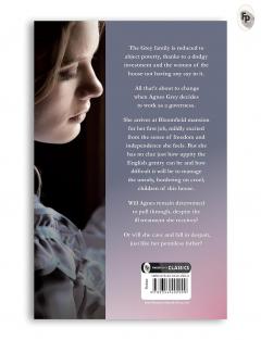 Brilliant Brontes (Box Set)