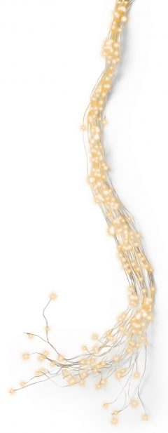 Ghirlanda de luminite - 640 Micro LED Bunch Lights