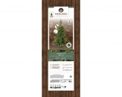 Brad artificial - Grandis Fir Micro LED, 180 cm