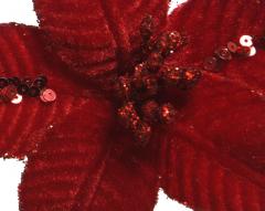 Decoratiune Craciun - Poinsettia on clip polyester spangels velvet (mai multe culori - pret pe bucata)