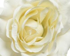 Decoratiune Craciun - Rose on clip pearl finish glitter (mai multe culori - pret pe bucata)