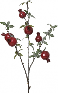 Decoratiune cu finisaj de zahar - Shiny Pomegranate