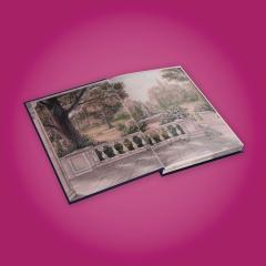 Thorn Season (Deluxe Limited Edition)