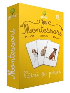 Vocabular. Caini si pisici