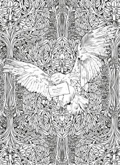 Carte postala de colorat - Harry Potter - mai multe modele