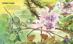 Big Book of Big Bugs