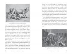 The Shortest History of Italy