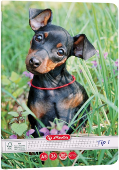 Caiet A5 Tip I - Cats & Dogs, mai multe modele