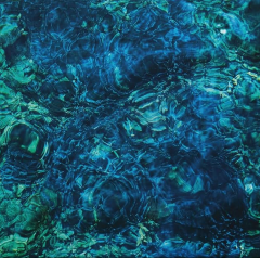 Luminescent Creatures - Vinyl