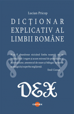 Dictionar explicativ al limbii romane