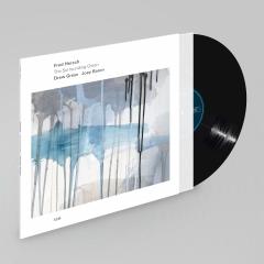 The Surrounding Green - Vinyl