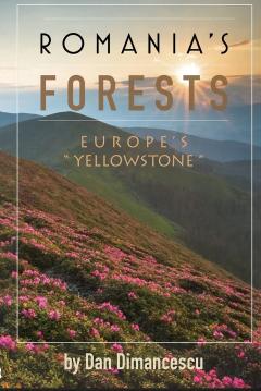 Romania's Forests: Europe's "Yellowstone"