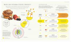 The Science of Flavour