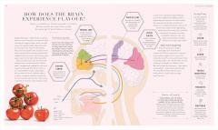 The Science of Flavour