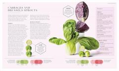 The Science of Flavour