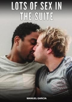 Lots of Sex in the Suite: Explicit Gay Erotic Short Stories for Men (Hot and Sexy)