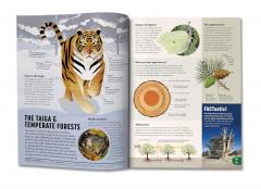 Britannica All New Children's Encyclopedia