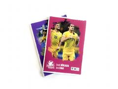 Caiet matematica A5 (48 file) - Daniel Birligea & Ianis Hagi