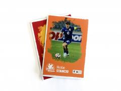 Caiet matematica A5 (48 file) - Nicolae Stanciu