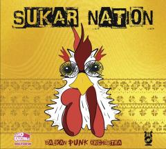 Balkan Punk Orchestra