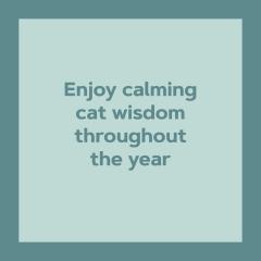 Calendar de perete - Ianuarie 2026 - Decembrie 2026 - Catffirmations