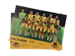 Bloc desen A4 (15 file) - Echipa Nationala de Fotbal a Romaniei