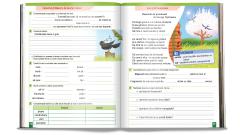 Set pe discipline - O aventura educativa prin clasa a II-a