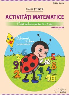 Activitati matematice - Caiet de lucru pentru 5-6 ani - Grupa mare