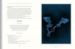 Classical Mythology of the Constellations