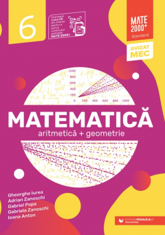 Matematica. Standard clasa a VI-a (Aritmetica, geometrie)