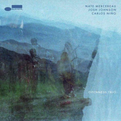 Openness Trio - Vinyl