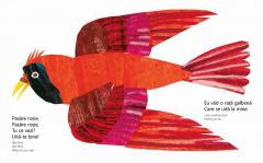 Ursule brun, ursule brun, tu ce vezi?