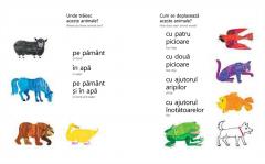 Ursule brun, ursule brun, tu ce vezi?