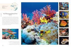 Rough Guides Wild Earth