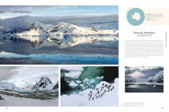 Rough Guides Wild Earth