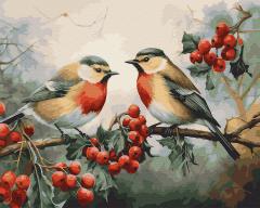 Set pictura pe numere - Pasari