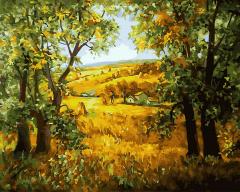 Set pictura pe numere - Luminis