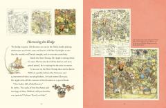 A Visit to Brambly Hedge