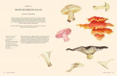 A Passion for Mushrooms