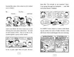 Big Nate in the Zone