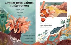 Les petites histoires de la mer