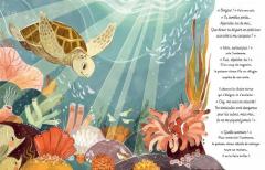 Les petites histoires de la mer