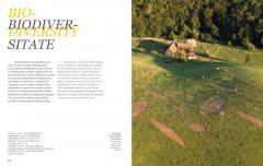 Land Art si interventii in natura