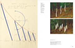 Land Art si interventii in natura