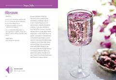 It's 5 O'clock Somewhere